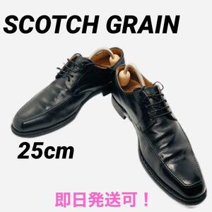 SCOTCH GRAIN スコッチグレイン ドレスシューズ Uチップ 25cm