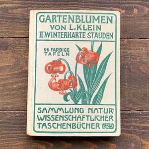 [1927年]ドイツの古い植物図鑑(GARTENBLUMEN WINTERHARTE STAUDEN)/アンティーク ヴィンテージ 植物画 ボタニカルアート 雰囲気◎/