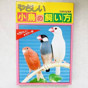 【即決価格】【送料無料】 やさしい小鳥の飼い方　本