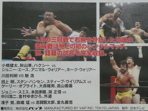 全日本プロレス・ビデオ　Ｇ・馬場引退興行1999年5月2日ドームPART.2　小橋＆秋山＆ハクシー×ザ・ロード・ウォリアーズ＆エース、川田VS馳