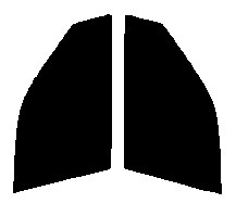 ライトスモーク　５０％　運転席、助手席　パートナー EY　カット済みフィルム