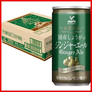 ★国産生姜ジンジャーーエル★ 厳選素材 国産しょうがのジンジャーエール 缶 185ml×20本 [ 国産生姜使用 炭酸飲料 合成甘味料