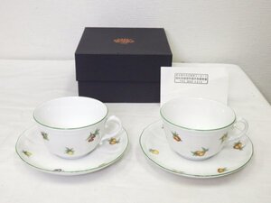 6480 未使用☆ リチャードジノリ アンティコエデン カップ＆ソーサー ２客セット 口径 約9.5㎝ Richard Ginori