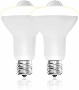 LED電球 人感センサー付 E17口金 60形相当 電球色 6W 610lm 下方向タイプ 明暗センサー付 小型電球 玄関/廊下/