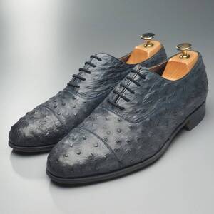 MH0616//*Raja Shoes Creation*本オーストリッチ/ダチョウ革/ストレートチップ/キャップトゥ/レザーシューズ/革靴/紺/ネイビー系