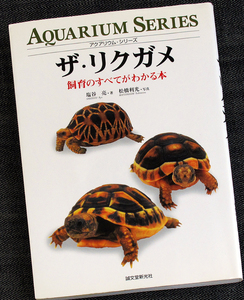 ザ・リクガメ｜世界のリクガメ図鑑 種類別飼育ガイド ゲージ セッティング 個体の選び方 生態 育て方 飼い方 ホシガメ 亀 カメsf