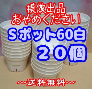 ◆送料無料◆Sポット60 白 20個 スリット鉢 プラ鉢 2号 6cm プレステラ 丸型 多肉植物