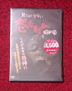 DVD 見てはいけない怨念動画 呪い編 未開封品