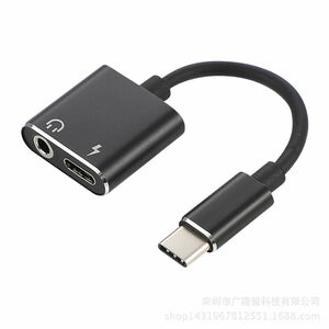 Type C イヤホン 変換アダプター USB C 2 in 1 変換ケーブル