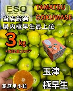 fm ESC愛媛県玉津産極早生みかん小粒家庭用当店最上位希少3㎏+保証量200㌘　みきゃん箱①