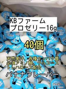 人気昆虫ゼリー KBファーム プロゼリー16g 40個カブトムシ クワガタ ハムスター フクロモモンガ ハリネズミ オオクワガタ デュビア