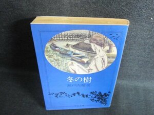 冬の樹　瀬戸内晴美　日焼け強/FCT