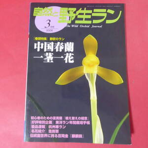 YN3-250109☆自然と野生ラン 2008年3月号　※ 中国春蘭 一茎一花 富貴蘭 雪割草 ※ 園芸JAPAN