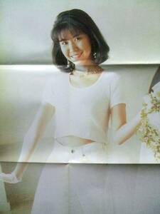 三石琴乃（声優）ポスター　月刊ニュータイプ1995年6月号付録