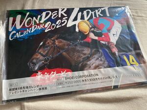 南関東4競馬場カレンダー　2025◇新品未開封