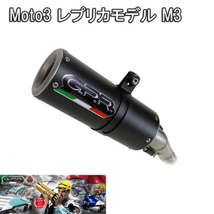 イタリア GPR / M3 カーボンルック スリップオン マフラー 公道仕様 / BMW S1000RR 2009-2011