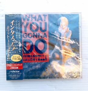 新品 未開封 CD 見本盤 INTASTELLA WHAT YOU GONNA DO