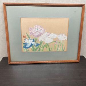 日本画　菖蒲　額装　作者不明