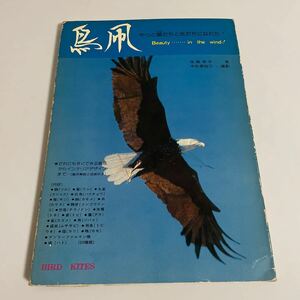 鳥凧 やっと鴎(かもめ)たちと友だちになれた! 型紙付き 後藤脩平 宇佐美裕三 タコ たこ カイト 凧揚げ あげ