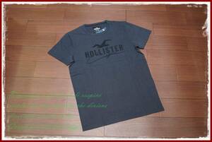 ★Hollister ロゴ刺繍 Tシャツ 半袖/L/ヘリンボーン/チャコールグレー/ メンズ Tシャツ アバクロ ホリスター