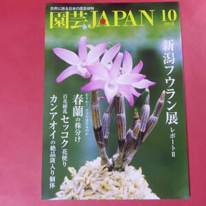 YN4-241219☆ 園芸Japan ◆ 2018年10月号　フウラン　シュンラン　セッコク　カンアオイ