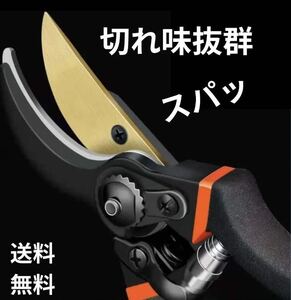 剪定はさみ 枝切り 剪定鋏 はさみ 剪定バサミ 園芸 果樹 ガーデニング 盆栽 剪定ハサミ