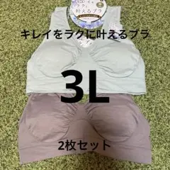 (新品未使用)3Lサイズ☆キレイをラクに叶えるブラ☆2枚セット