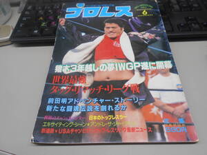 雑誌　月刊プロレス　1983年6月号