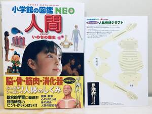 小学館の図鑑NEO 人間 人体骨格クラフト付き