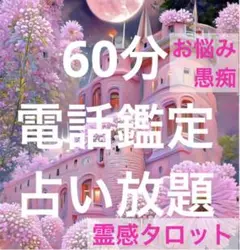 ⭐️電話orチャット60分♡霊感タロット占い放題❣️