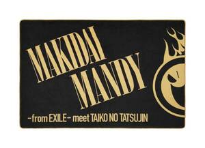 抽プレ当選品◆太鼓の達人 15周年 ブランケット EXILE MAKIDAI 関口メンディー