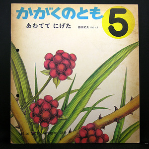 ◆はじめてであう科学読本 通巻38号 かがくのとも 5 『あわててにげた』 (1972) ◆文・絵:得田之久◆福音館書店