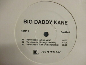 Big Daddy Kane ： Very Special 12