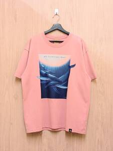 NIKE ACG/ナイキ エーシージー/半袖Tシャツ/ Wyland Short Sleeve Tee/ピンク/XXLサイズ