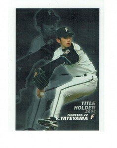 【建山義紀】2005 カルビープロ野球チップス タイトルホルダーカード #T20