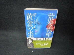 黄金の水平線　荒巻義雄　日焼け強め/KDZE