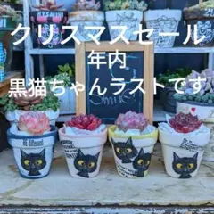 多肉植物❤リメ鉢❤ちびちび❤デコパージュ❤黒猫❤4個セット❤