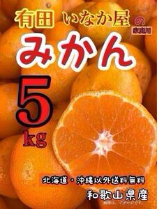 お買い得　みかん5kg みかん　柑橘　フルーツ　傷あり　オレンジ　セール　有田　和歌山　特価価格　早い者勝ち　残り1点　価格　高騰中1