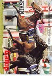 テレホンカード ラインクラフト 桜花賞 週刊ギャロップ クオカード500 UZG12-0256