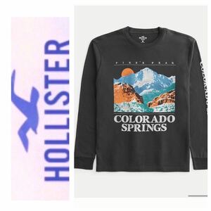 ☆送料無料☆◎M◎新品正規品◎ホリスター◎HOLLISTER◎ロングTシャツ◎送料込◎