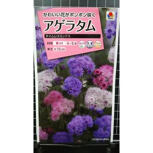 ３袋セット アゲラタム タイムレスミックス 種 郵便は送料無料