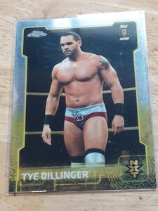 topps wweプロレスカード　タイ・デリンジャー