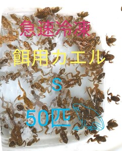 【冷凍】S 餌用カエル ヌマガエル 50匹 エサ用 爬虫類 蛇の餌 大型魚の餌 ヘビの餌 亀の餌