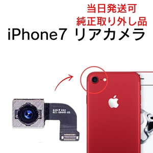 Apple 純正 取り外し品 iPhone7 リアカメラ メイン リヤ リア バック アイフォン 交換 修理 背面 iSight カメラ 外 部品