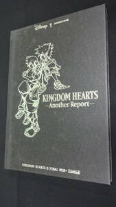 キングダムハーツ アナザーレポート KINGDOM HEARTS Ⅱ Another Report　MS-002