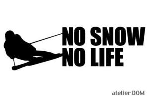 NO SNOW NO LIFE ステッカー スキー4 (Lサイズ) アルペン 滑降 大回転 回転 ダウンヒル スラローム スキー SKI シール