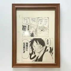 激レア？懸賞当選品 ワンピース 複製原画 ビブルの秘宝①？