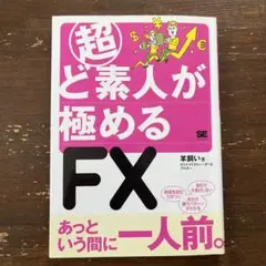 超ど素人が極めるFX