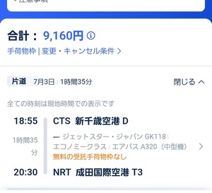 新千歳→成田　18:55発20:30着　航空券