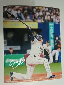 侍ジャパン ロサンゼルス・ドジャース 大谷翔平選手 直筆サイン入り６切りフォト 激レア 日本ハムファイターズ　写真②